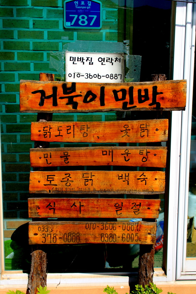 거북이민박 이미지
