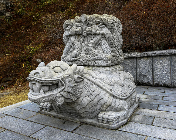 보은꽃 이미지