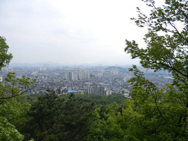 구룡산정상 조망대 이미지
