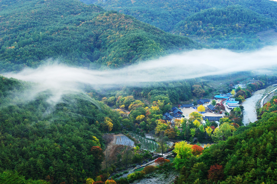 제5회 청송 주산지 관광사진 전국공모전 