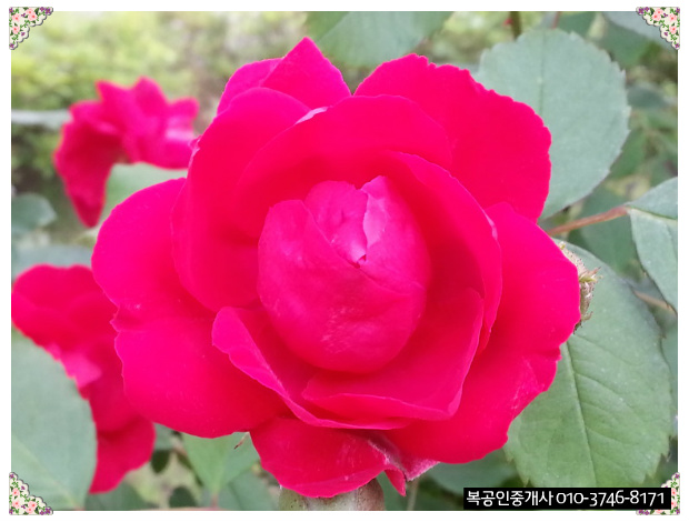 『사람들에게환영받는길~.좋은사람이란.