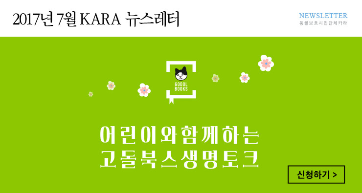 뉴스레터