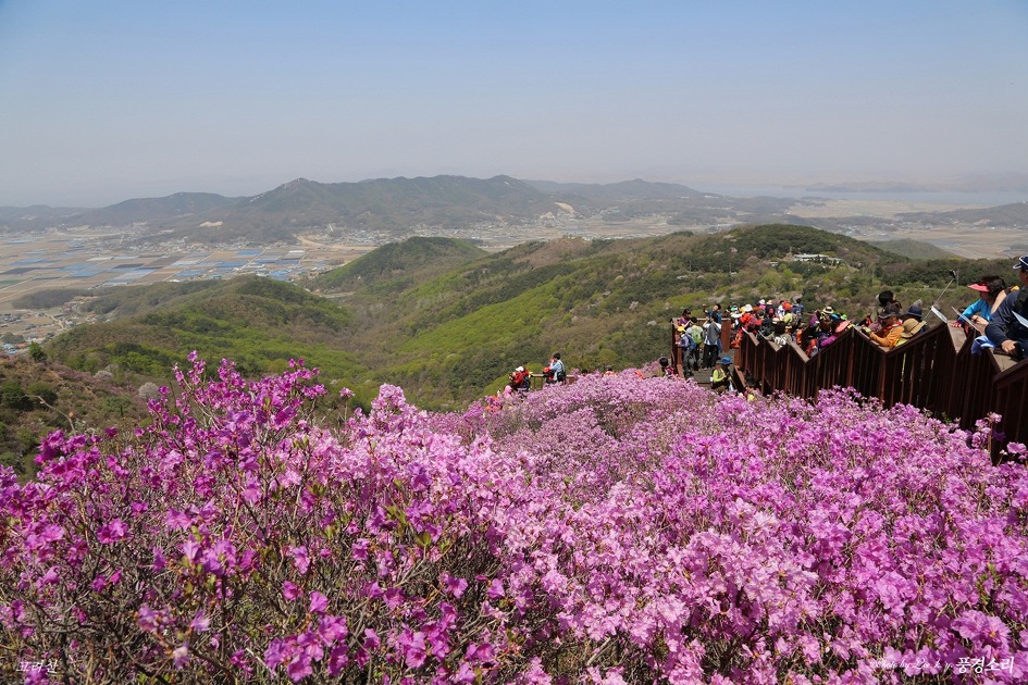 고려산 이미지
