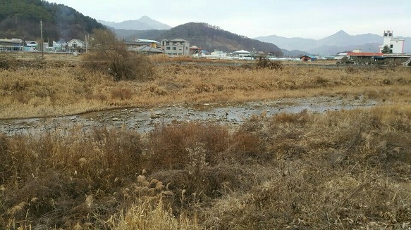 사진:양평용문역인근 맑은천옆(전)1,290평(수양관.요양원,전원주택부지) 