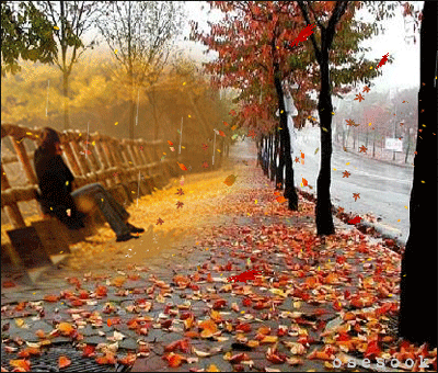 22554F4D5531A8962D6506