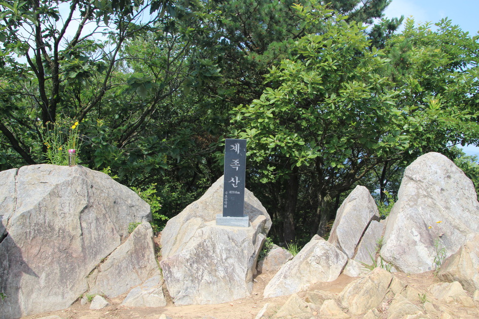 계족산 황톳길과 장태산 메타쉐콰이어 숲에서 힐링을(16.6.25)
