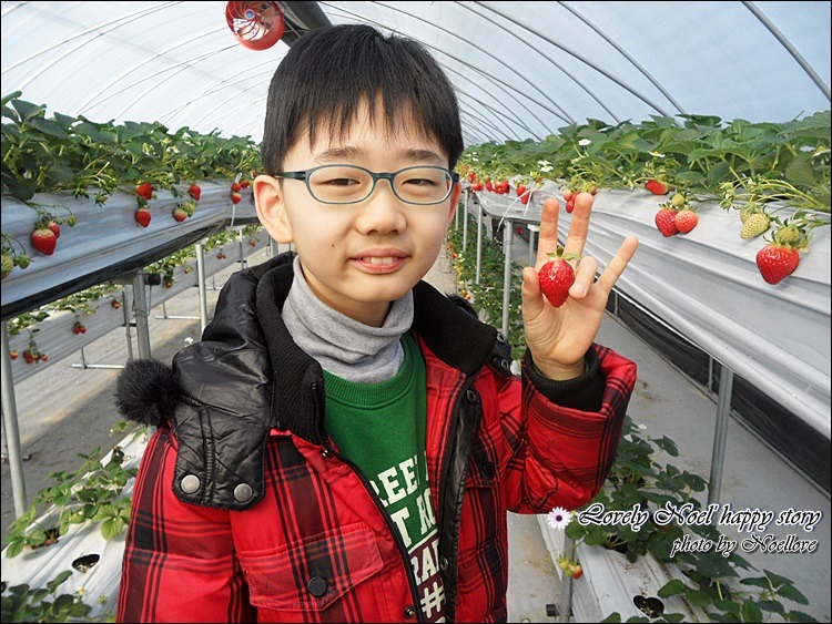 2330A24F53049ED213EC18