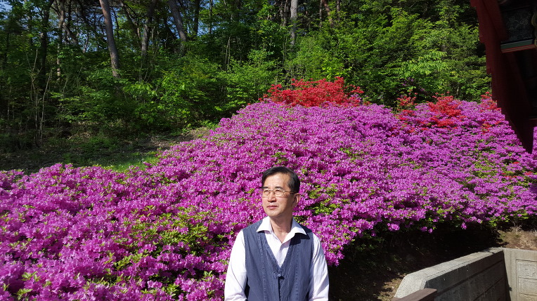 양평 불광산 정토사에 초파일 등을 달면서