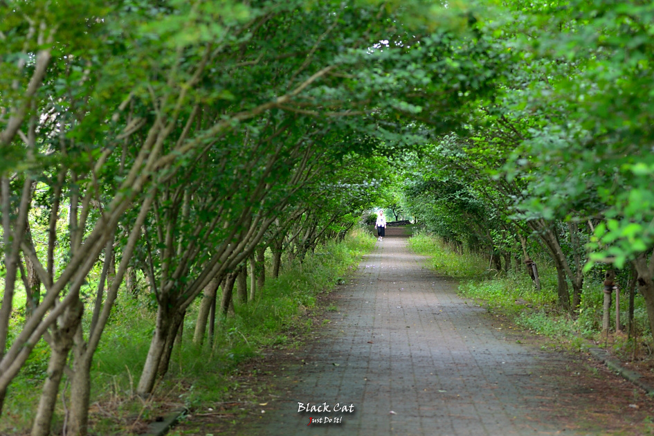 그대에게(Loop 130)-경주 경북산림환경연구원