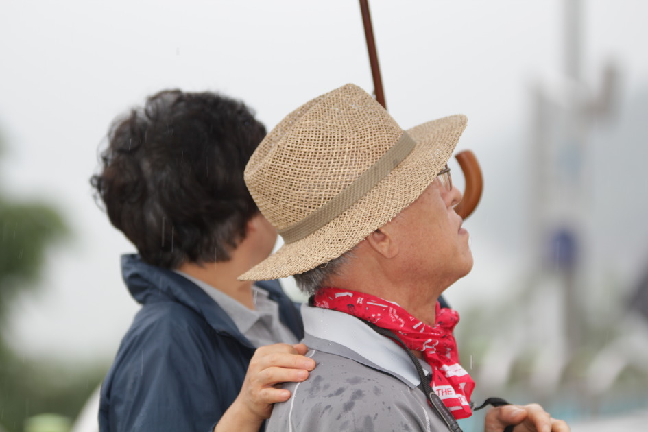 어쩔래, 이놈들아! / 조동한