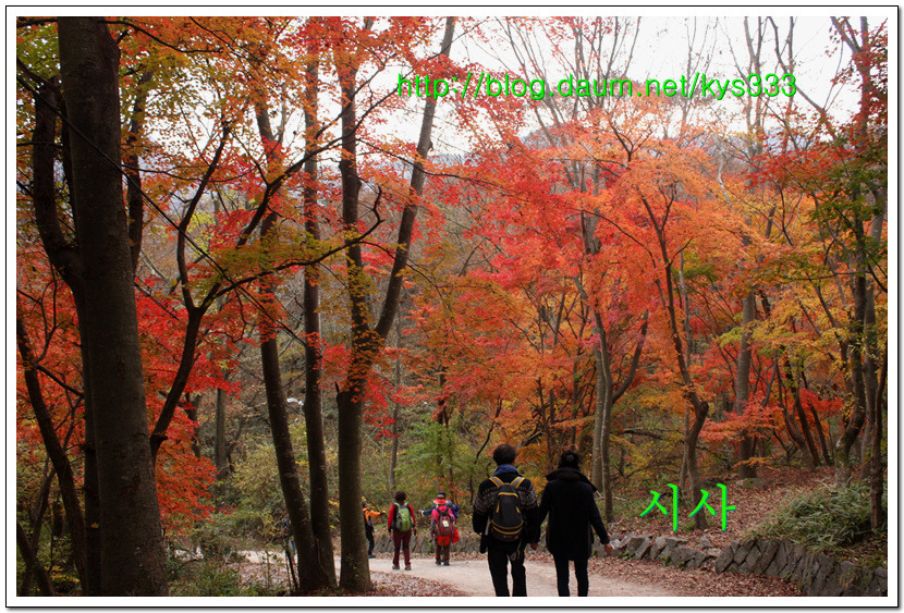 만추의 내장사 단풍여행