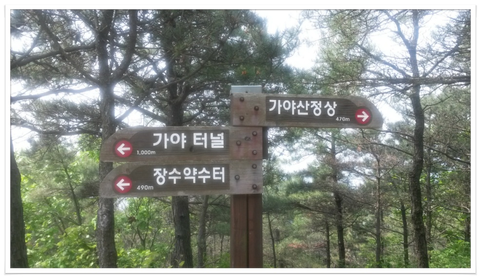 주말 오전 가야산에서...