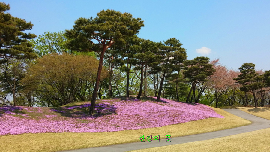 봄풍경