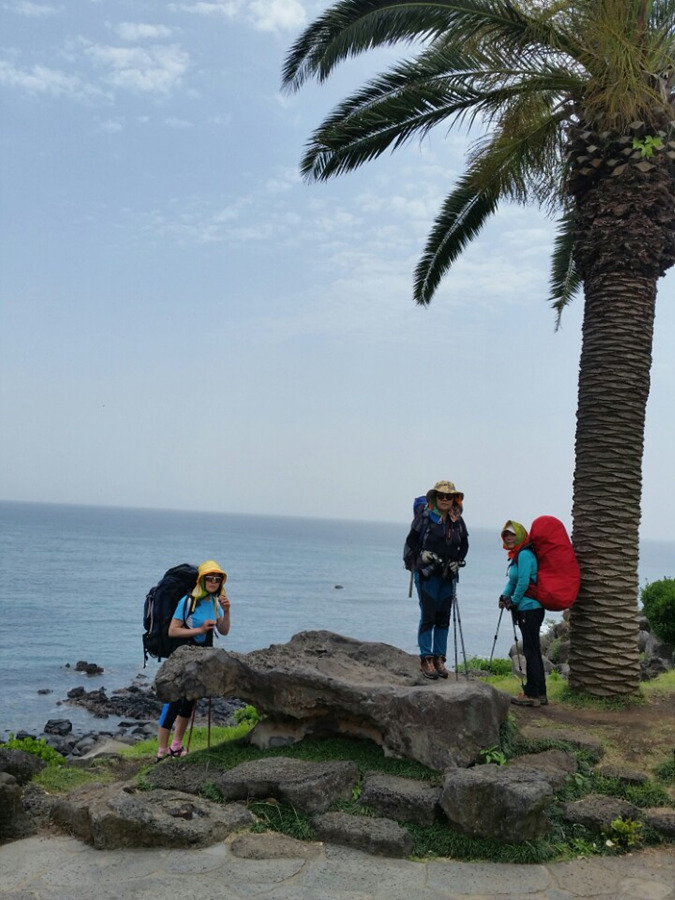 제주올레캠핑2 이미지