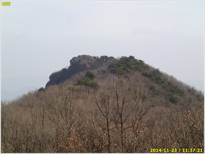 봉좌산 정상 이미지
