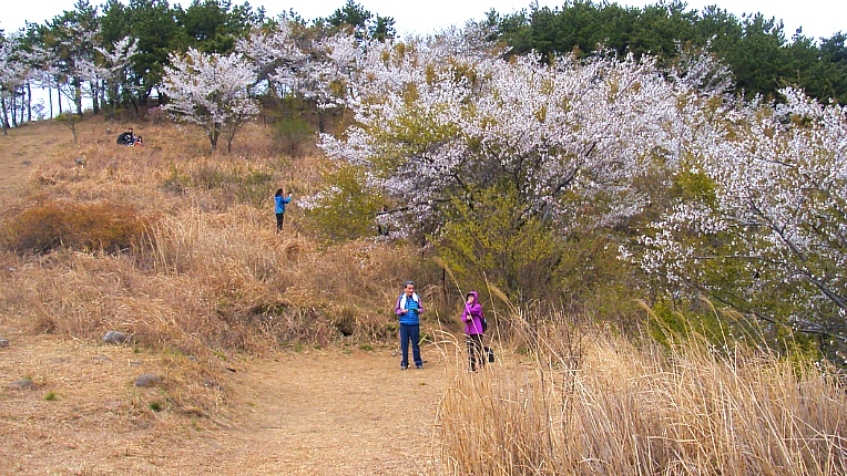 2520044A552A4AC61F6F44