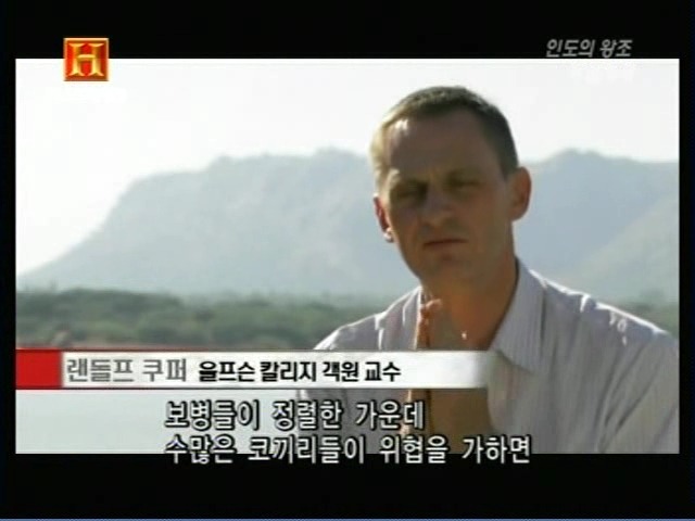 인도의 무굴 제국에서 사용한 전투 코끼리 갑옷 | 인스티즈
