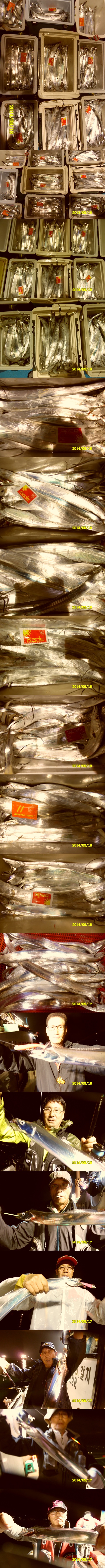 255CF23F541A27122BCAF9
