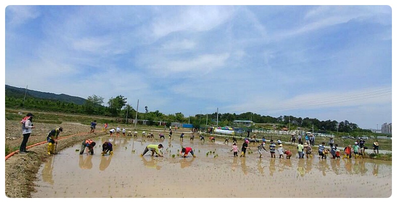 2566F845595DFA3133AC58