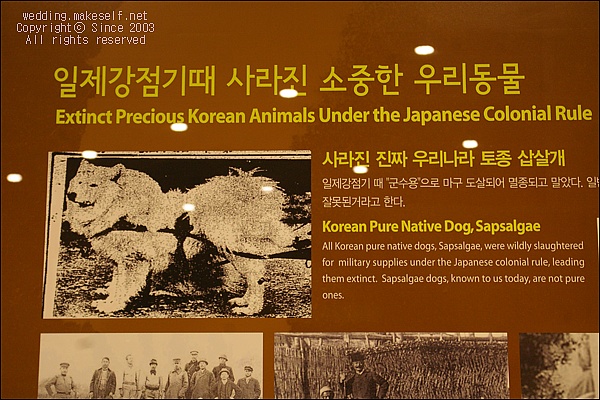 일본의 망언보다 더 분통 터지게 하는 한국인들의 망언. 고려대 정안기 교수.