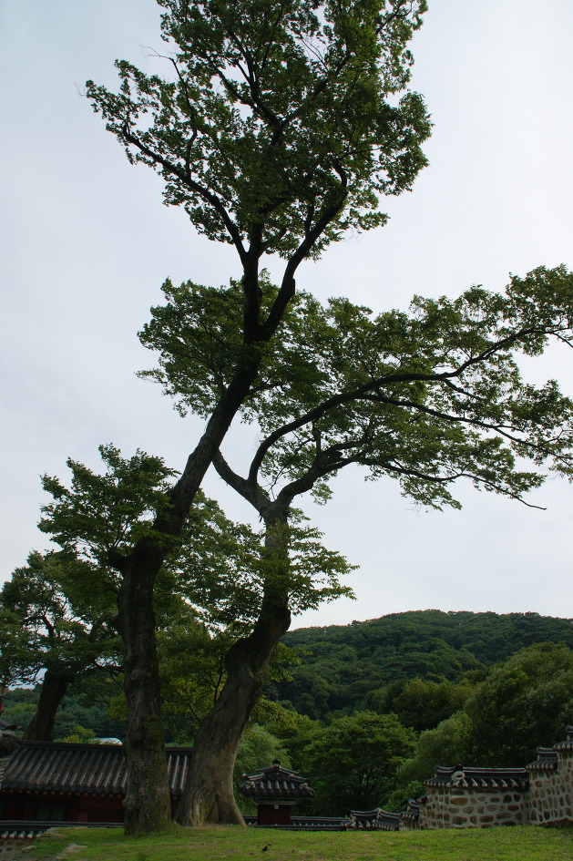 세계문화유산인 남한산성 행궁(14.8.2) 