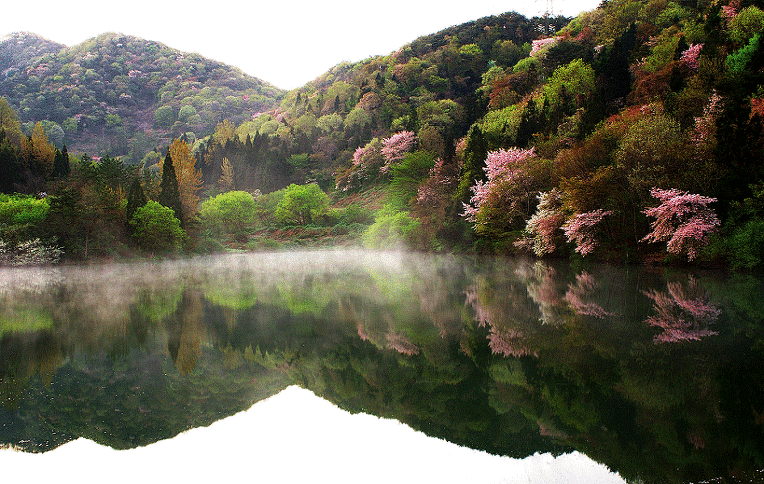 264C314952A50E0413A976