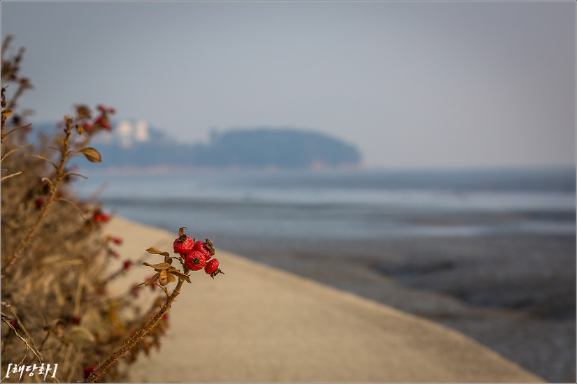 2016.12.31 인천 삼형제섬길(신도, 시도, 모도)을 걷다