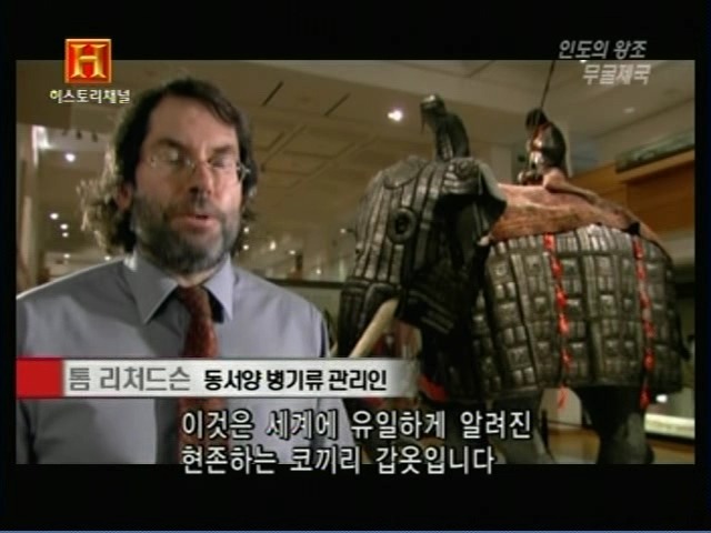인도의 무굴 제국에서 사용한 전투 코끼리 갑옷 | 인스티즈