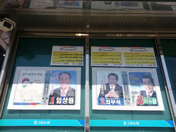 제1회 전국 동시 조합장 선거 결과(영천시)