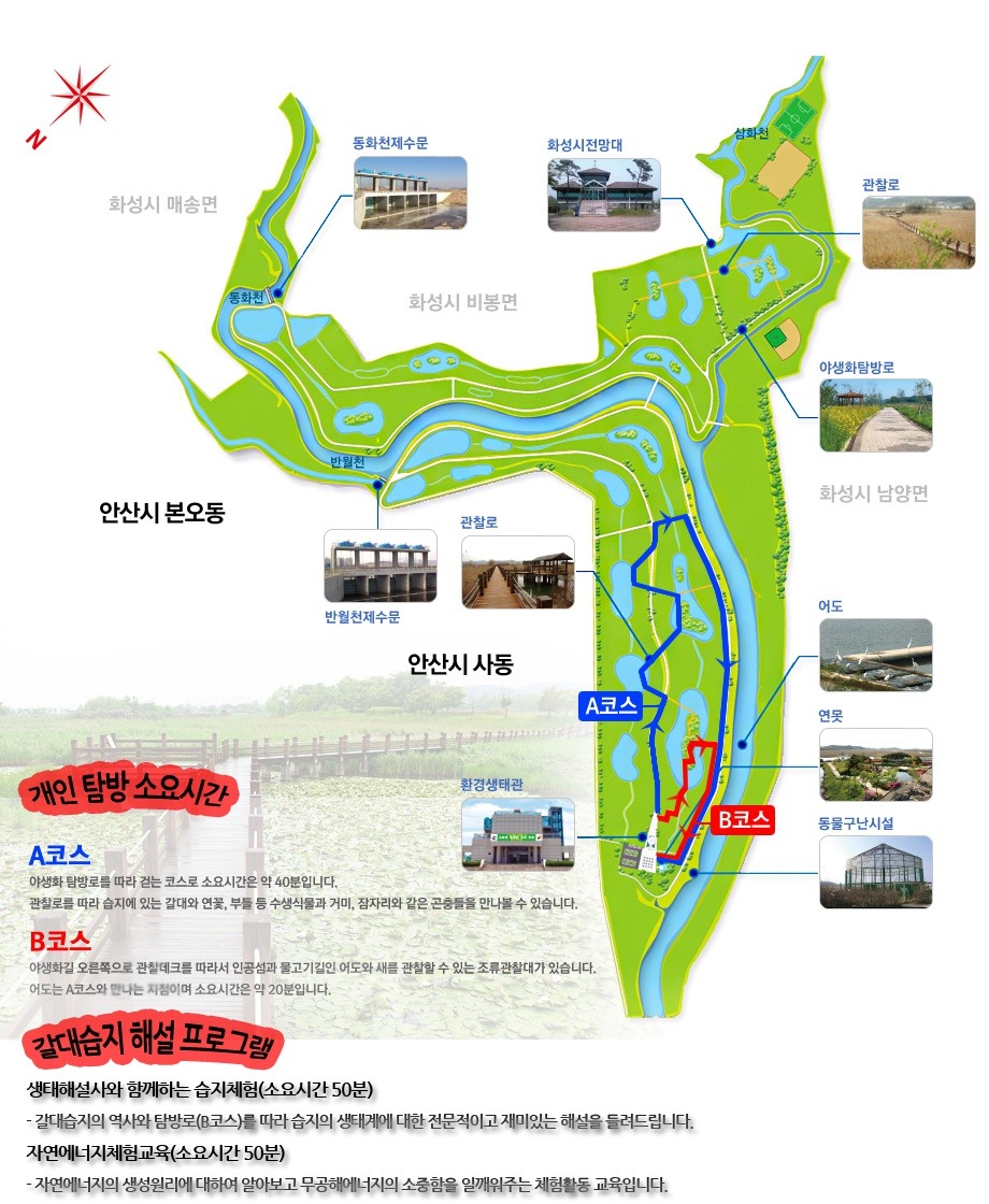 산책하기 좋은 안산습지생태공원 / 안산둘레길, 갈대습지길