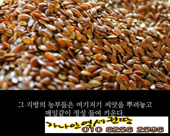역세권 투자와  모소 대나무의 (퀀텀리프 ∞ 퀀텀점프,) 폭풍성장 이야기 