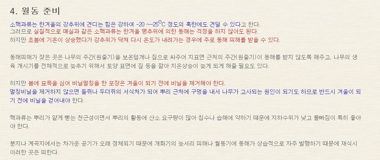 매실겨울거름주기와방제 [펌]