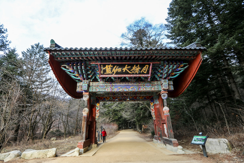 대산불교 이미지