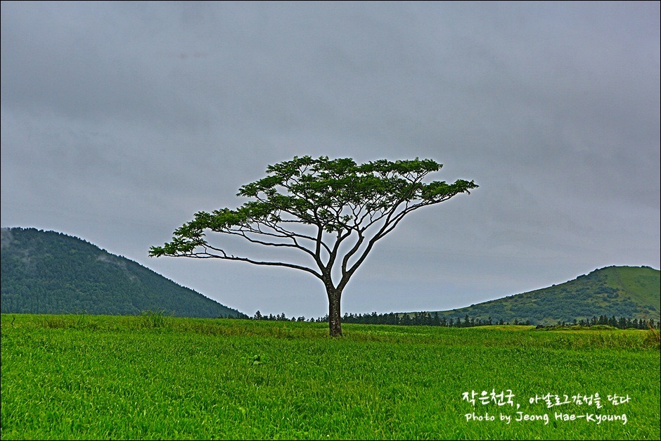 [제주] 찍기만 하면 작품이 되던 2박3일 제주여행 
