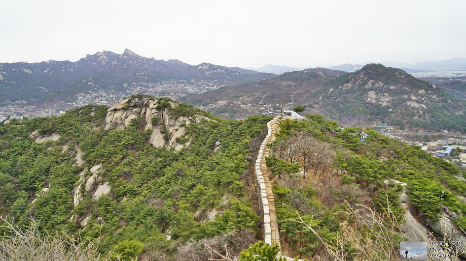서대문,안산 & 인왕산...개나리,진달래가 흐드러지게 피어있고~