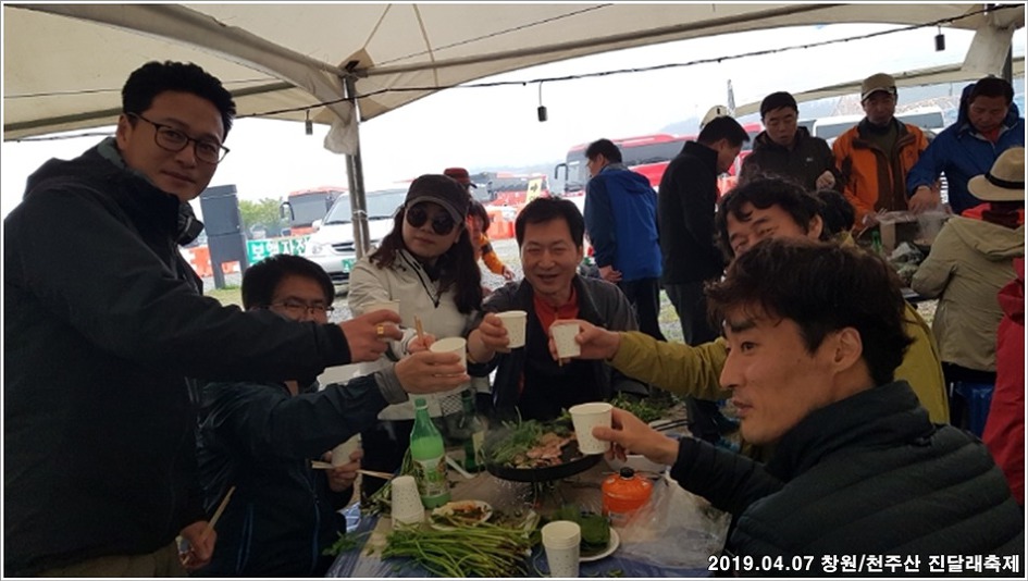 창원/천주산 진달래축제 - 남지 유채단지