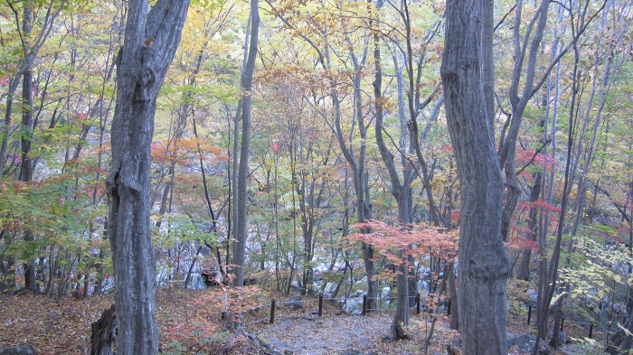 지리산 피아골 단풍 산행기