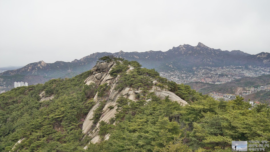 서대문,안산 & 인왕산...개나리,진달래가 흐드러지게 피어있고~