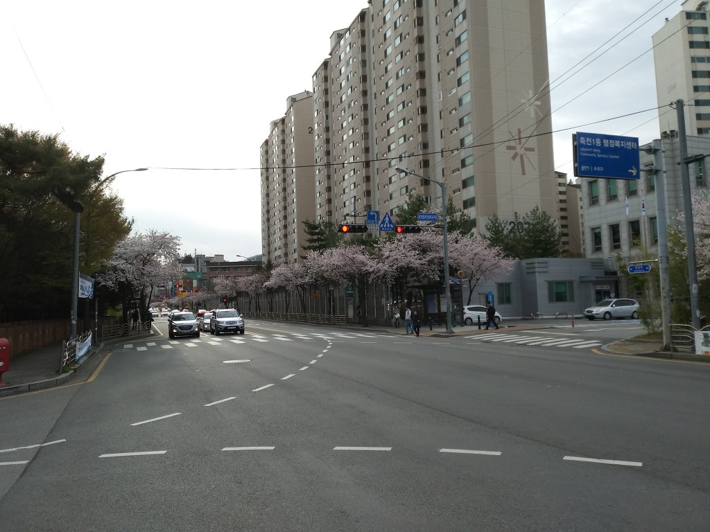 19.4.9(화)