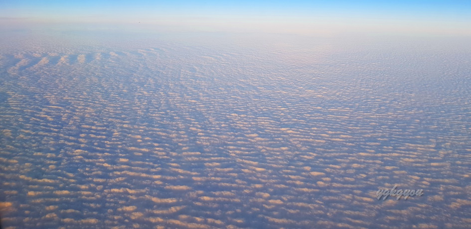 오키나와 국제거리 190115