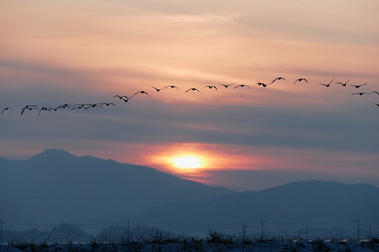 991A24405DF4F5511F0DC8