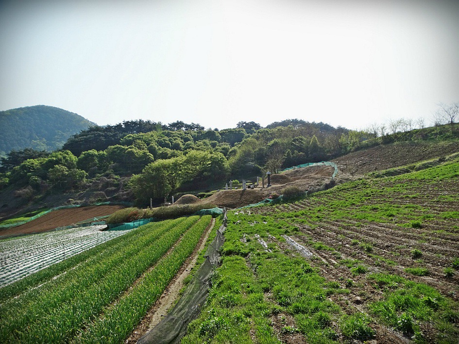 조정철