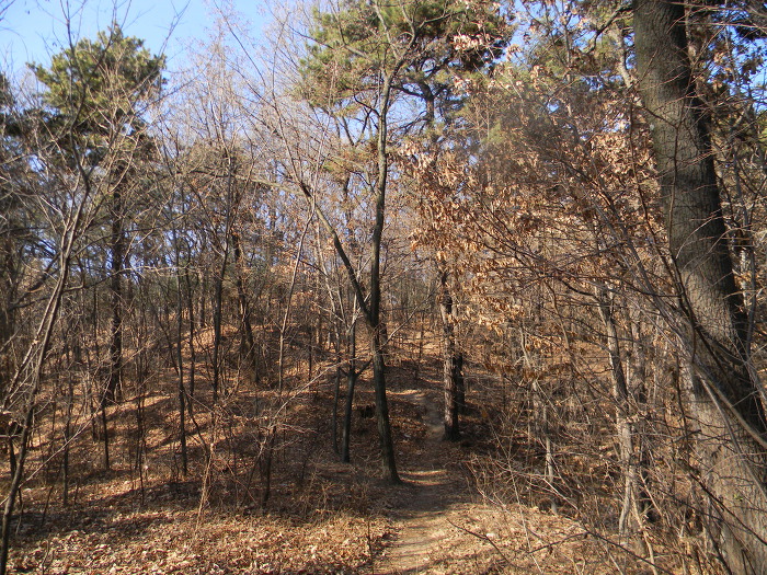 성두산에 조성된 백제시대 산성 유적, 구성동산성 (갑천)