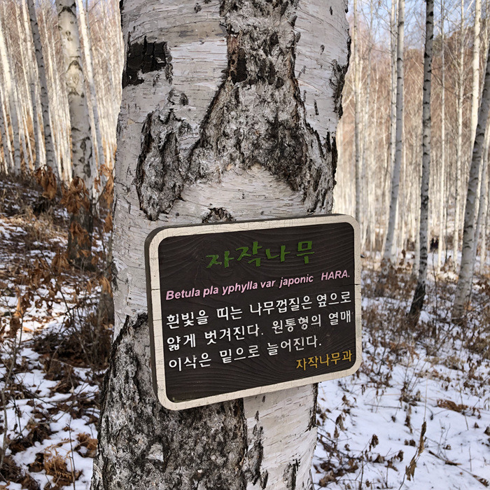 원본이미지(클릭)