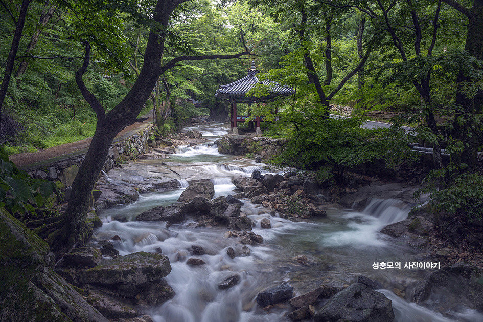 여름 계곡