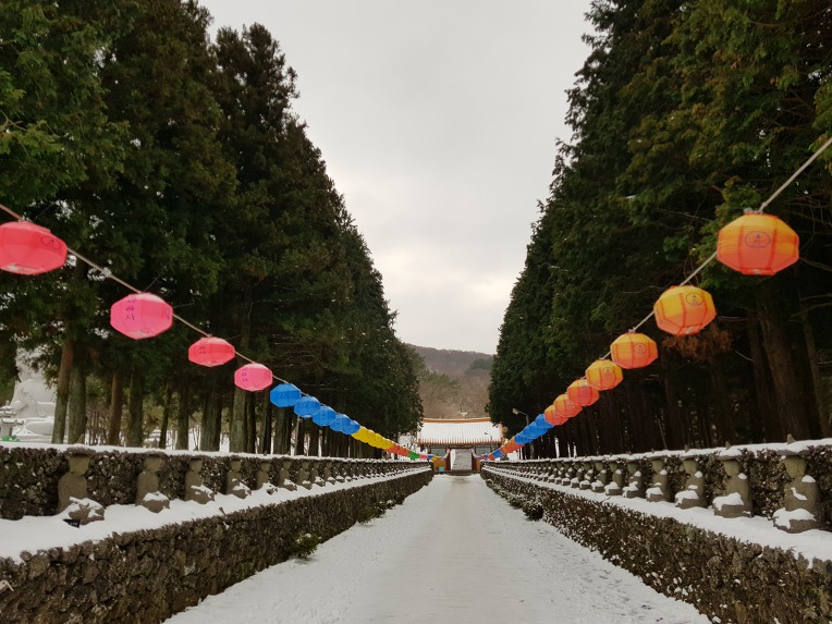 한라산 관음사 나한전에서 2019년1월1일