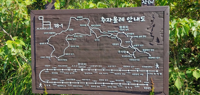 추자도수산업협동조합 이미지