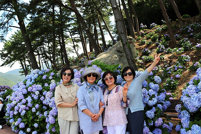 부산여행사 부산테마여행사