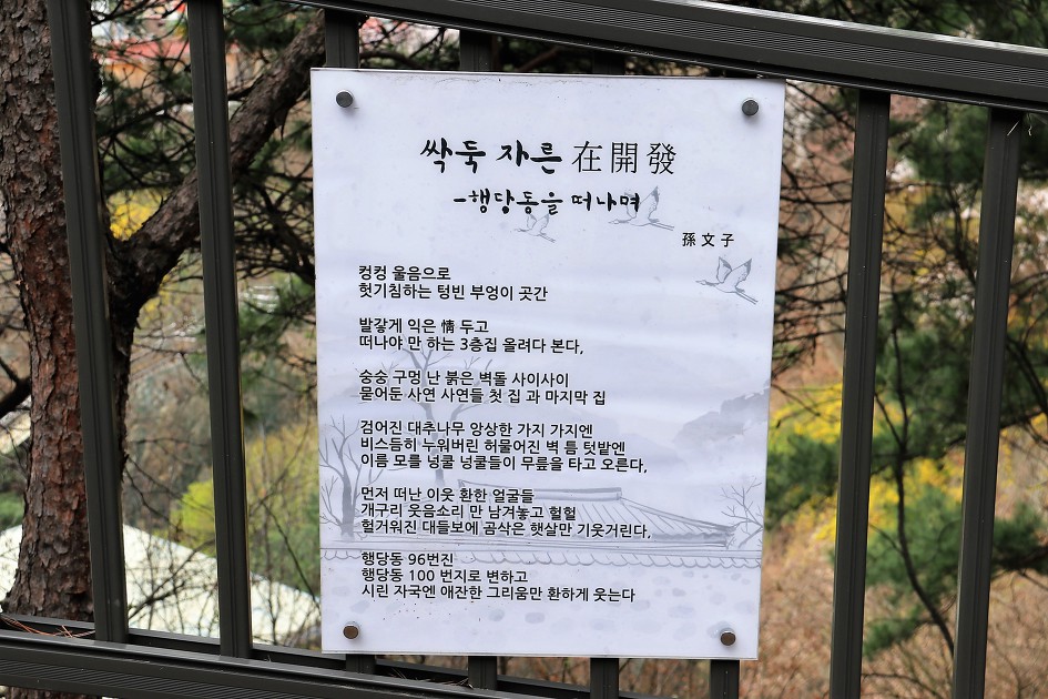 싹둑 자른 在開發 (행당동을 떠나며)     孫文子 