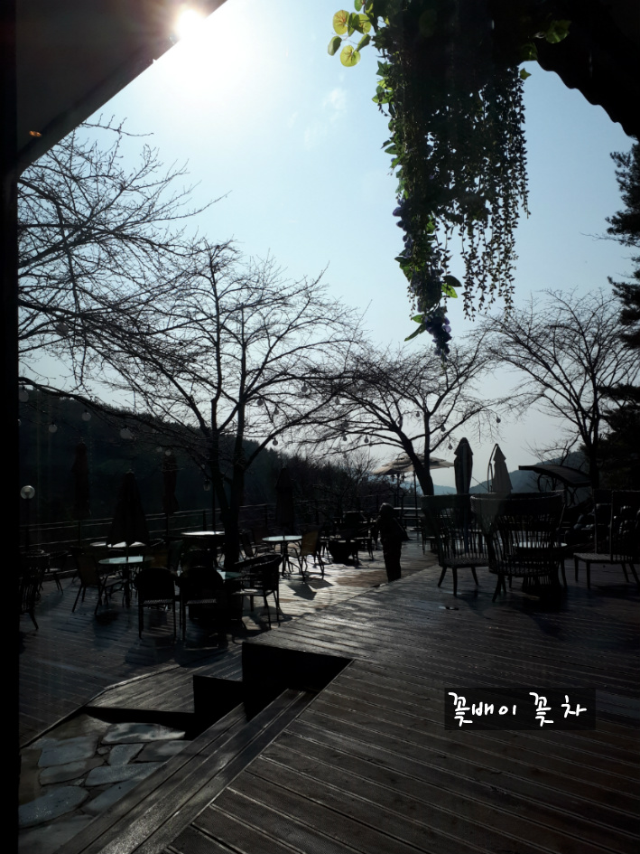비슬산 담